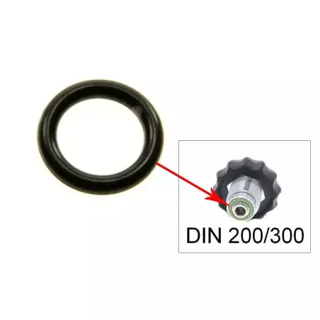 ORING CONNECTION DIN 300 & 200