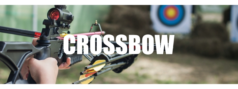 Crossbow wholesaler